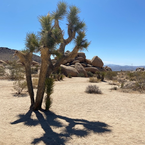 Meet your Posher, Grace - Picture 4 of 11